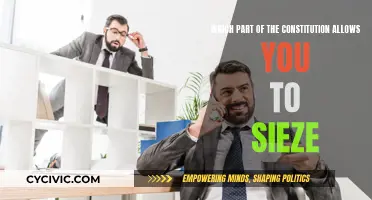 The Right to Seize: Constitutional Powers Explored