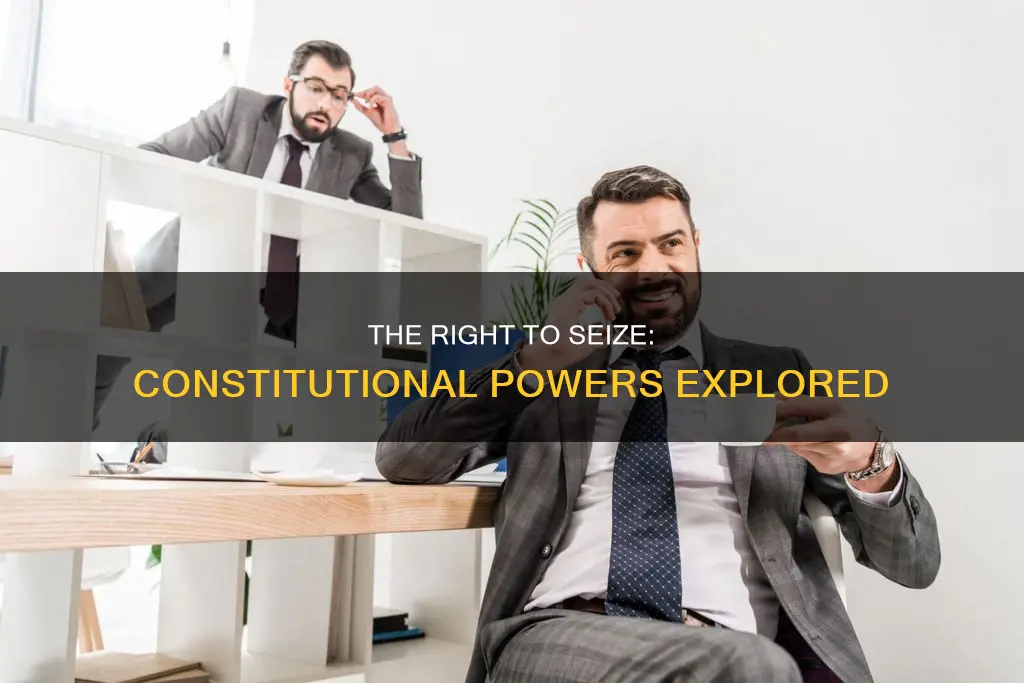 which part of the constitution allows you to sieze