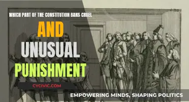 The Constitution's Ban on Cruel and Unusual Punishment