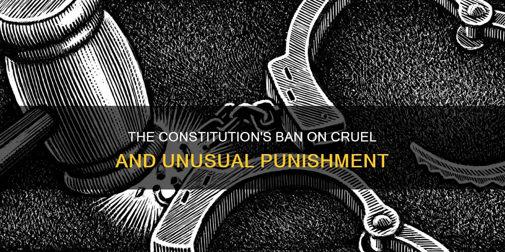 which part of the constitution bans cruel and unusual punishment