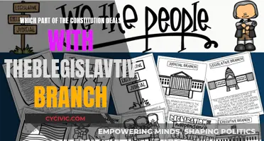 Understanding the Constitution: Legislative Branch Focus
