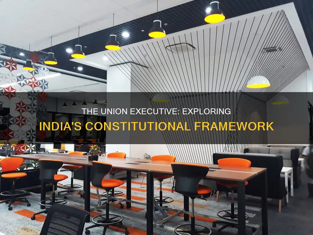 which part of the constitution deals with union executive