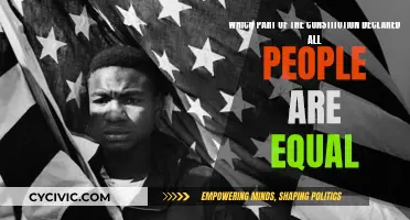 Equality for All: Exploring the Constitution's Equal Rights Declaration
