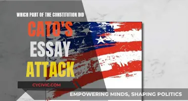 Cato's Essay: Attacking the Heart of the Constitution