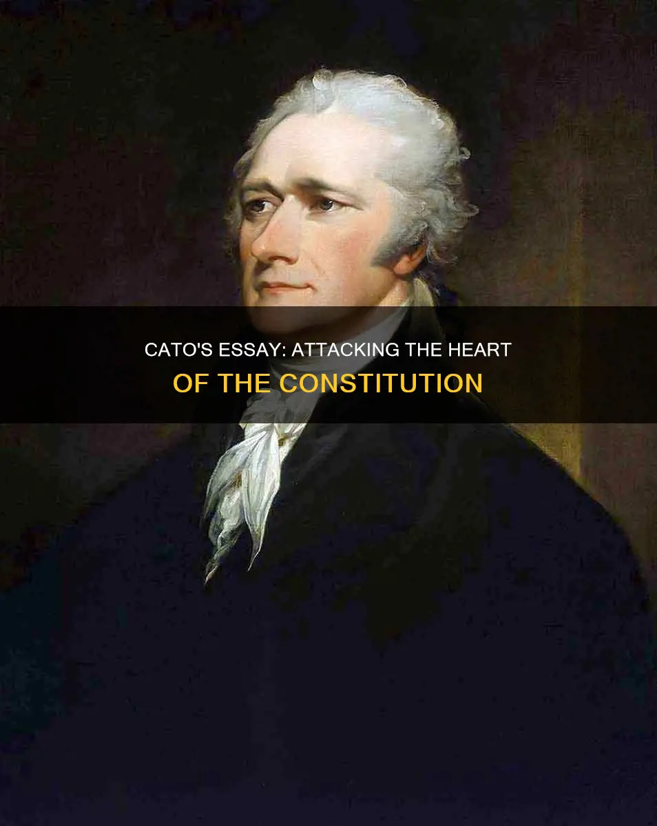 which part of the constitution did cato