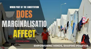 Marginalization's Impact: Constitution's Unseen Influence