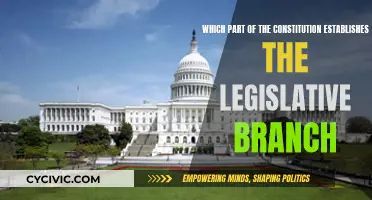 The Legislative Branch: Constitutional Foundation of US Lawmaking