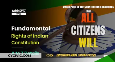 The Constitution's Promise: Equal Rights for All Citizens