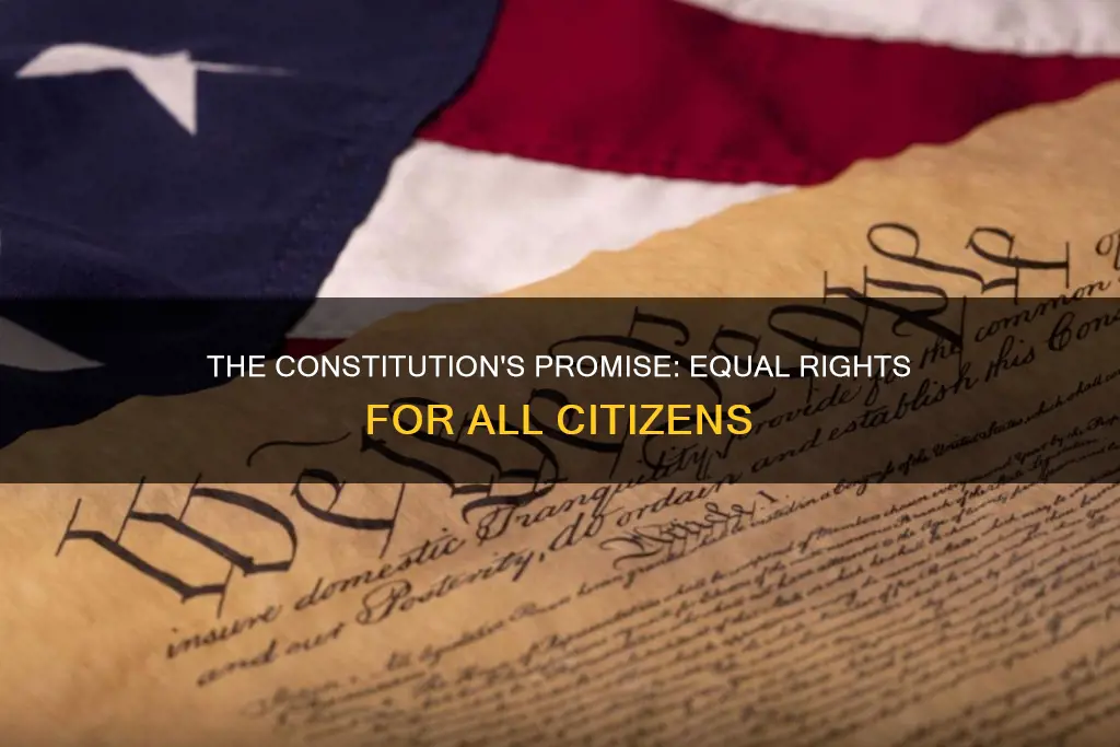 which part of the constitution guarantees that all citizens will