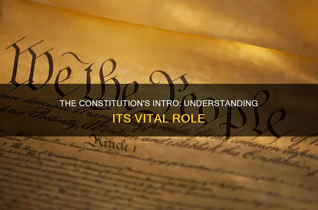 which part of the constitution is its intro