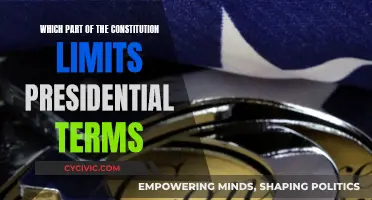 The Constitution's Clause on Presidential Term Limits