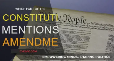 Amendments: The Constitution's Living Document