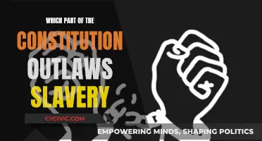 The Constitution's Outlaw of Slavery: A Historical Perspective