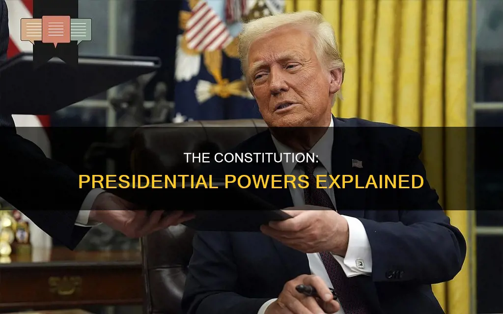 which part of the constitution outlines the presidential powers brainy