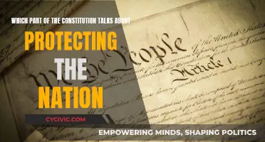 The Constitution's Promise: Protecting Our Nation's Integrity