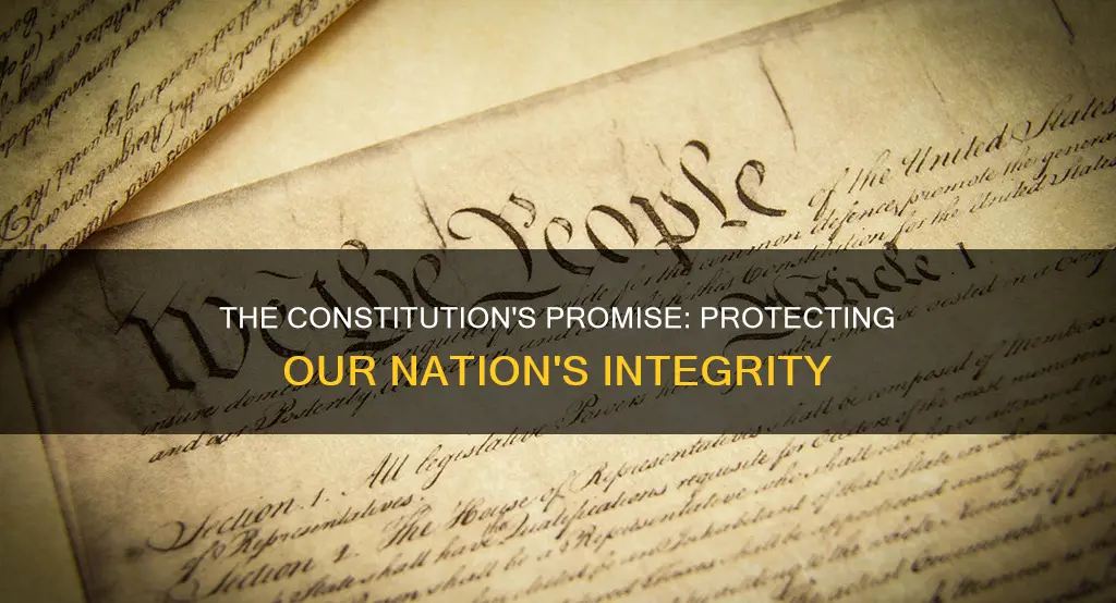 which part of the constitution talks about protecting the nation