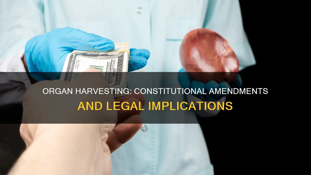 which part of the constitution will legalizing organ harvesting affect