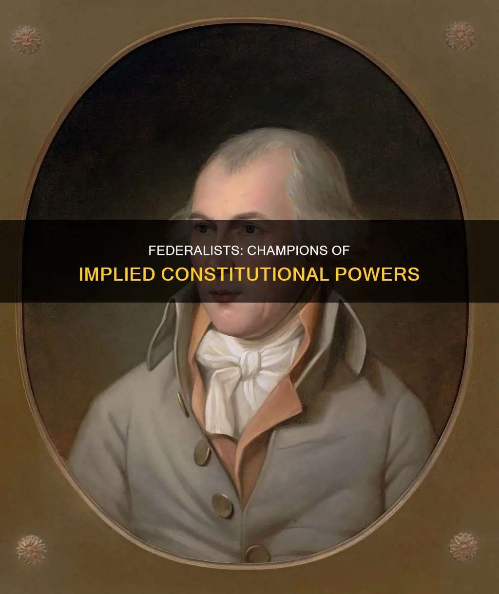 which party believed in the implied powers of the constitution