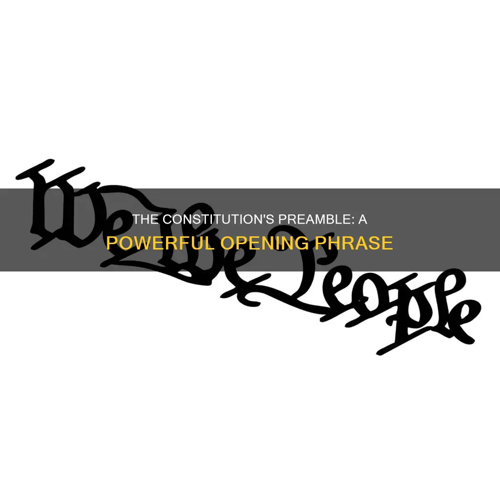which phrase begins the preamble to the constitution