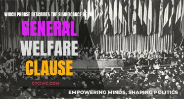 Understanding the General Welfare Clause's True Meaning