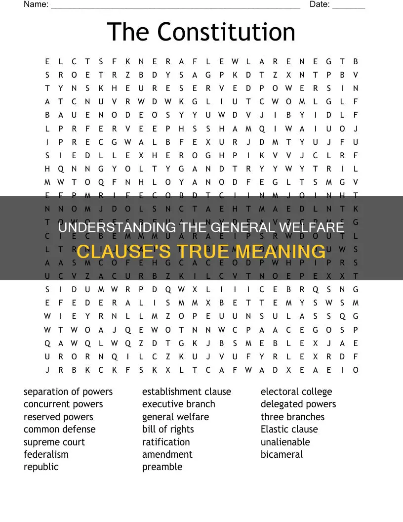 which phrase describes the significance of the general welfare clause
