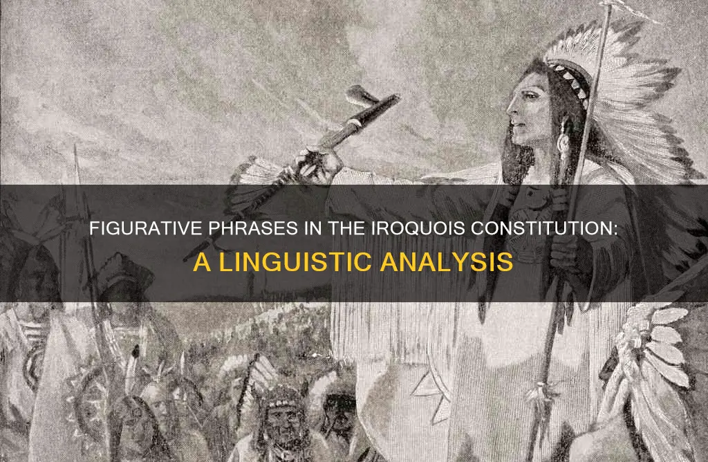 which phrase from the iroquois constitution contains figurative language