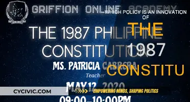 Innovations in the 1987 Constitution: Policy Changes