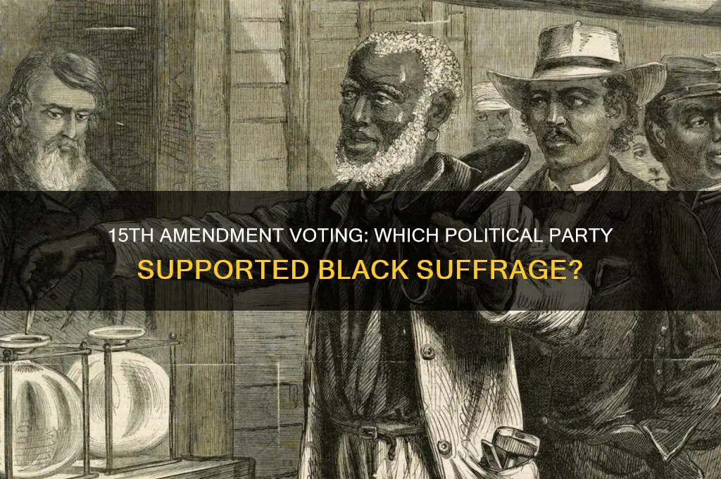 which polital party voted in the 15th amendment