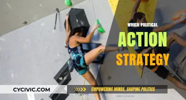 Effective Political Action Strategies: Mobilizing Change in Today's Democracy