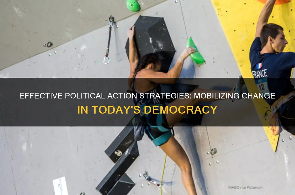 which political action strategy
