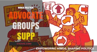 Unveiling Political Advocacy: Key Groups Supporting Today’s Major Policies