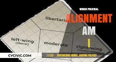 Discover Your Political Alignment: A Comprehensive Guide to Understanding Your Beliefs