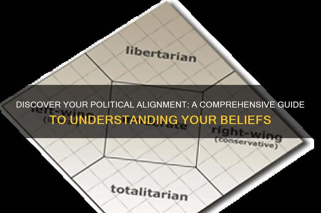 which political alignment am i