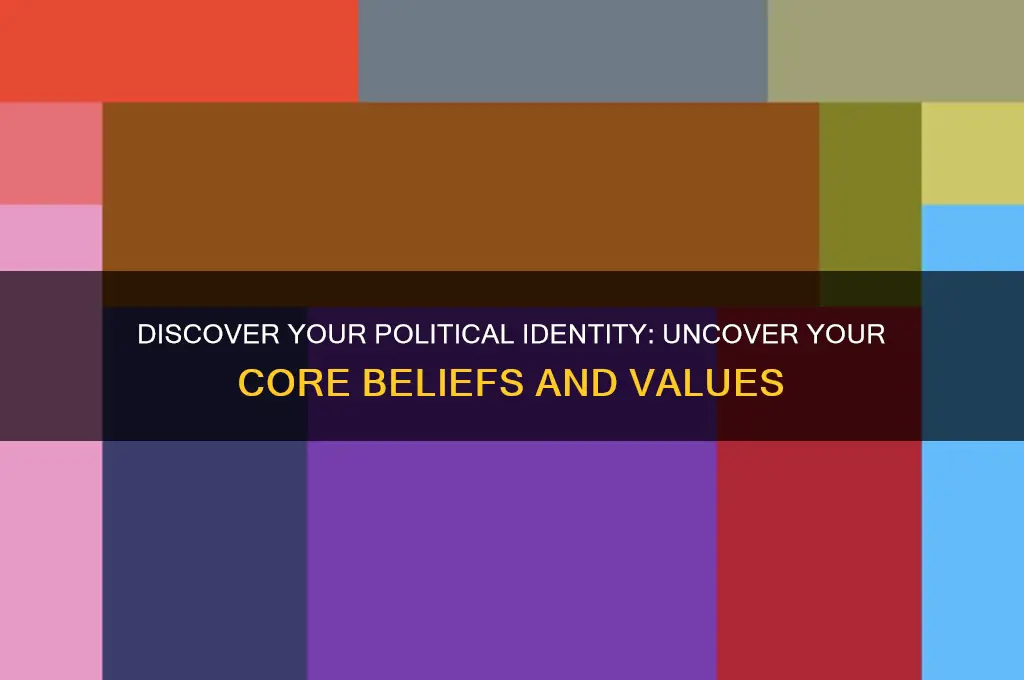 which political am i