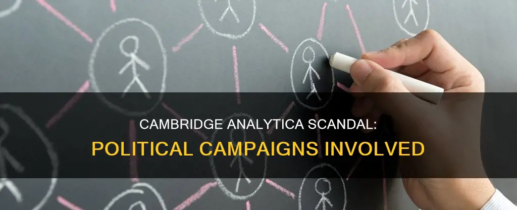 which political campaign involved in cambridge analytica scandal