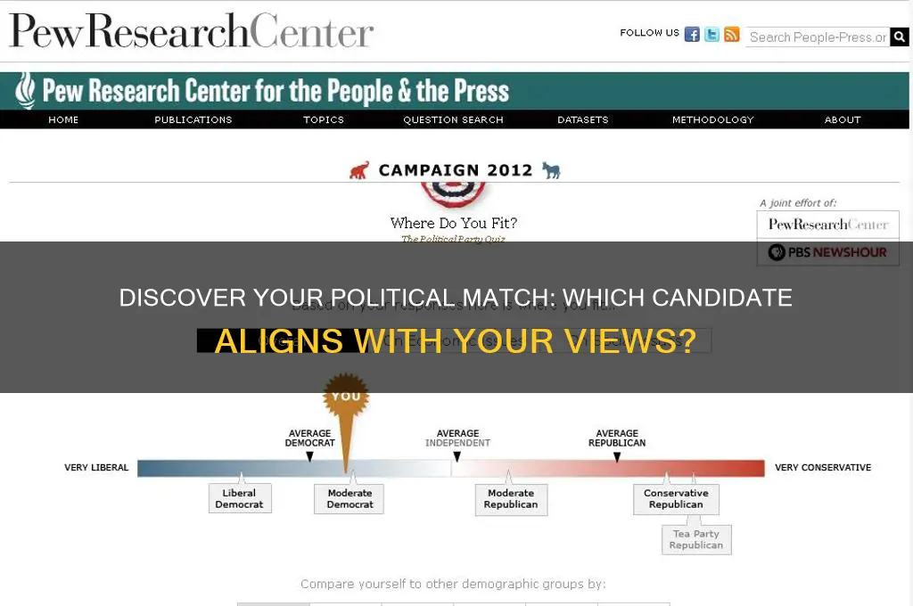 which political candidate am i