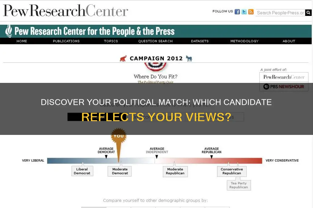 which political candidate are you