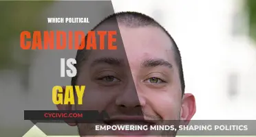 Exploring Sexual Orientation in Politics: Which Candidate Identifies as Gay?
