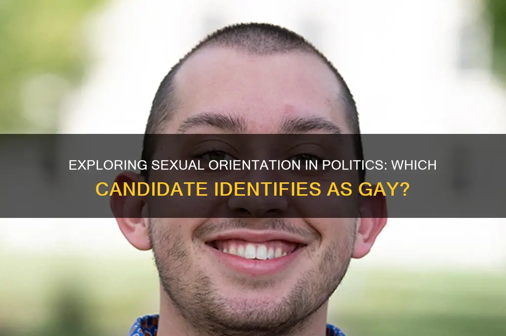 which political candidate is gay