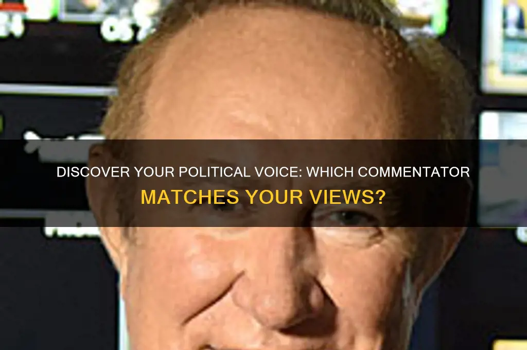 which political commentator are you