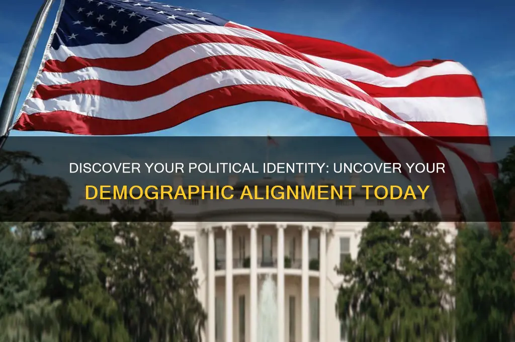 which political demographic am i