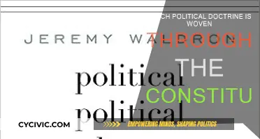 Political Threads of the Constitution