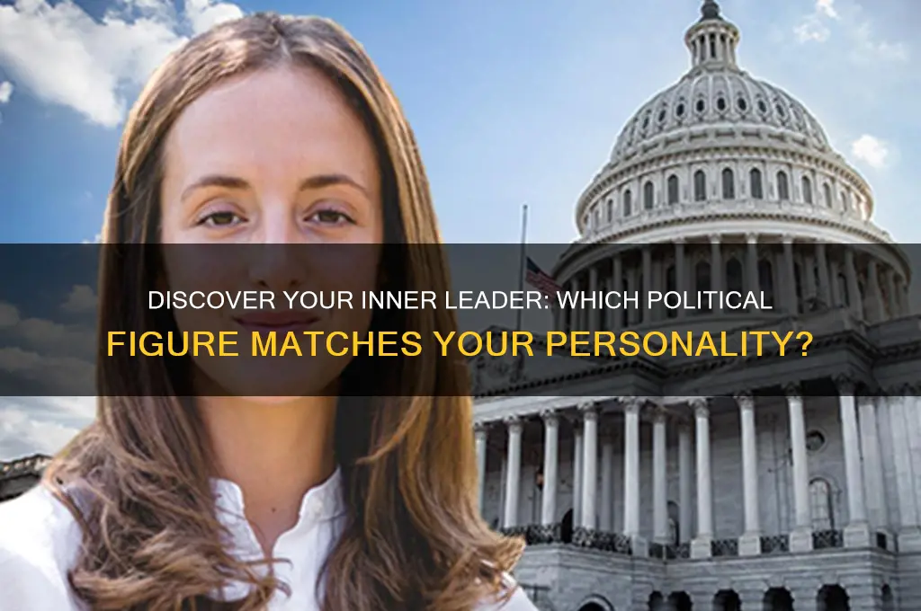 which political figure are you