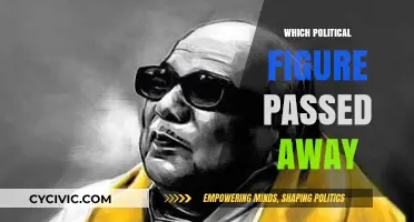 Remembering a Political Titan: Recent Passing Shocks the World