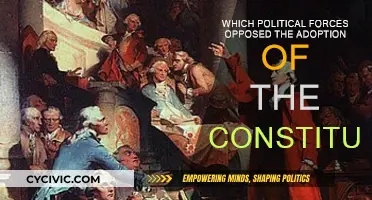 Anti-Federalists: Constitution Opposition and Political Forces