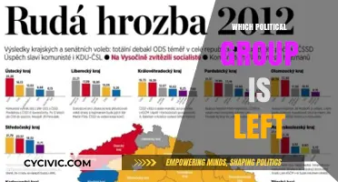 Understanding Left-Wing Politics: Which Political Group Fits the Bill?