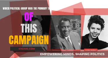 Who Was the Target of This Campaign?