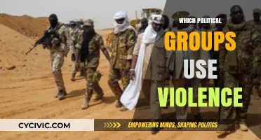 Violent Political Groups: Unmasking Extremist Organizations and Their Tactics