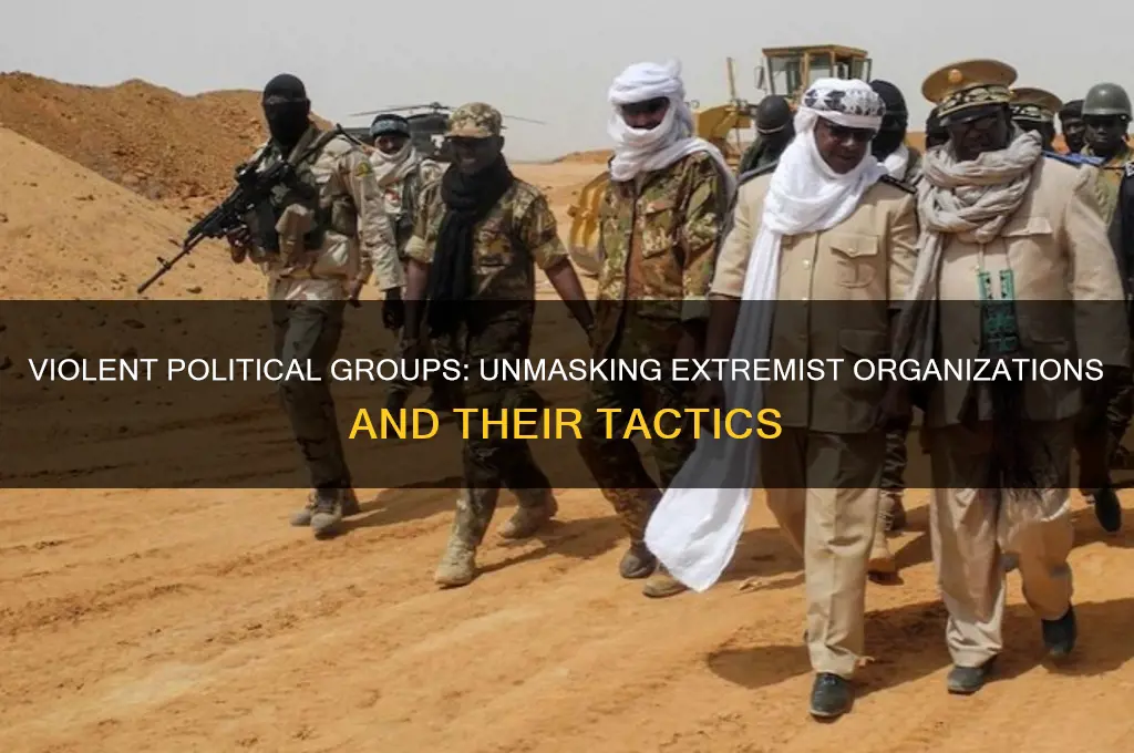 which political groups use violence