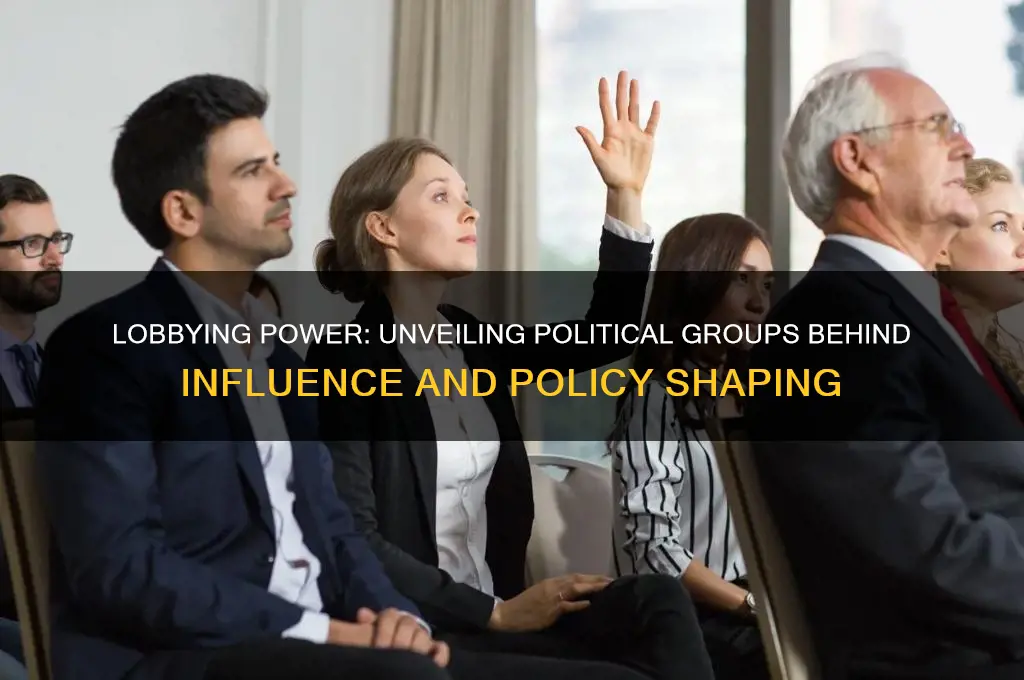 which political groups used lobbying